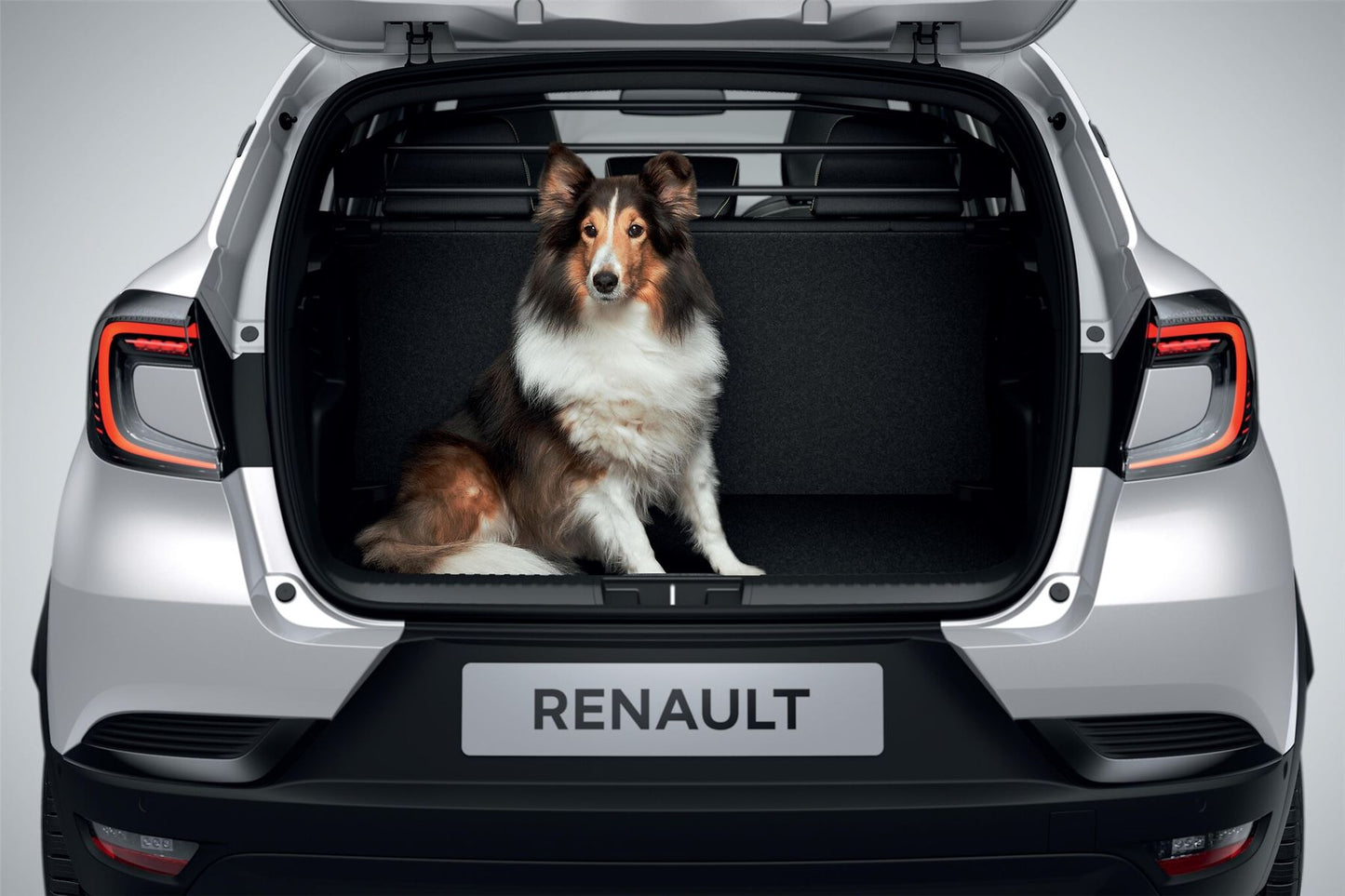 Captur II Dog Guard/Partition