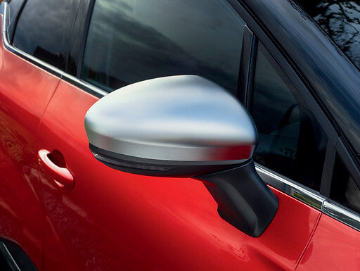 Satin grey door mirror casings