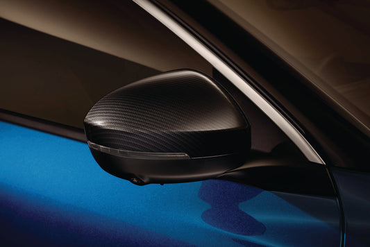 Austral & Scenic Door Mirror Casings: Carbon-effect